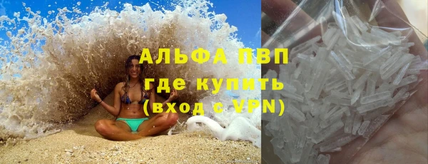 мяу мяу мука Белокуриха